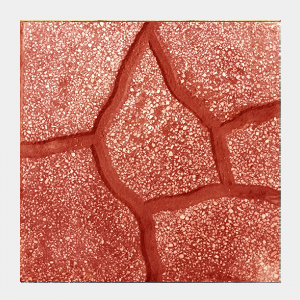 Gạch Terrazzo 400×400 (mm) – VS 40 – 121 – màu đỏ